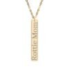 15971805571076729255_2048-2.jpeg Rottie Mom Vertical Bar Necklace