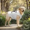 302f3ea6a5b750e04ba2cab453e6eafb.jpg Large Dog Mesh Vest Summer Pet Tee Rottie Security light colors