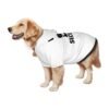 803255bc69465acdde88a0096568f27a.jpg Medium Large Dog Hoodie Pet Clothes Rottie Security light colors