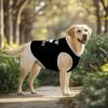 Puppy Gear Large Dog Mesh Vest Summer Pet Tee Rottie Security light colors