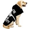 dog-raincoat-reflective-pet-poncho-rottie-security-light-colors